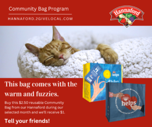 Cat best sale food hannaford